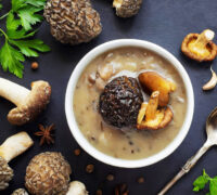 Sauce Aux Morilles